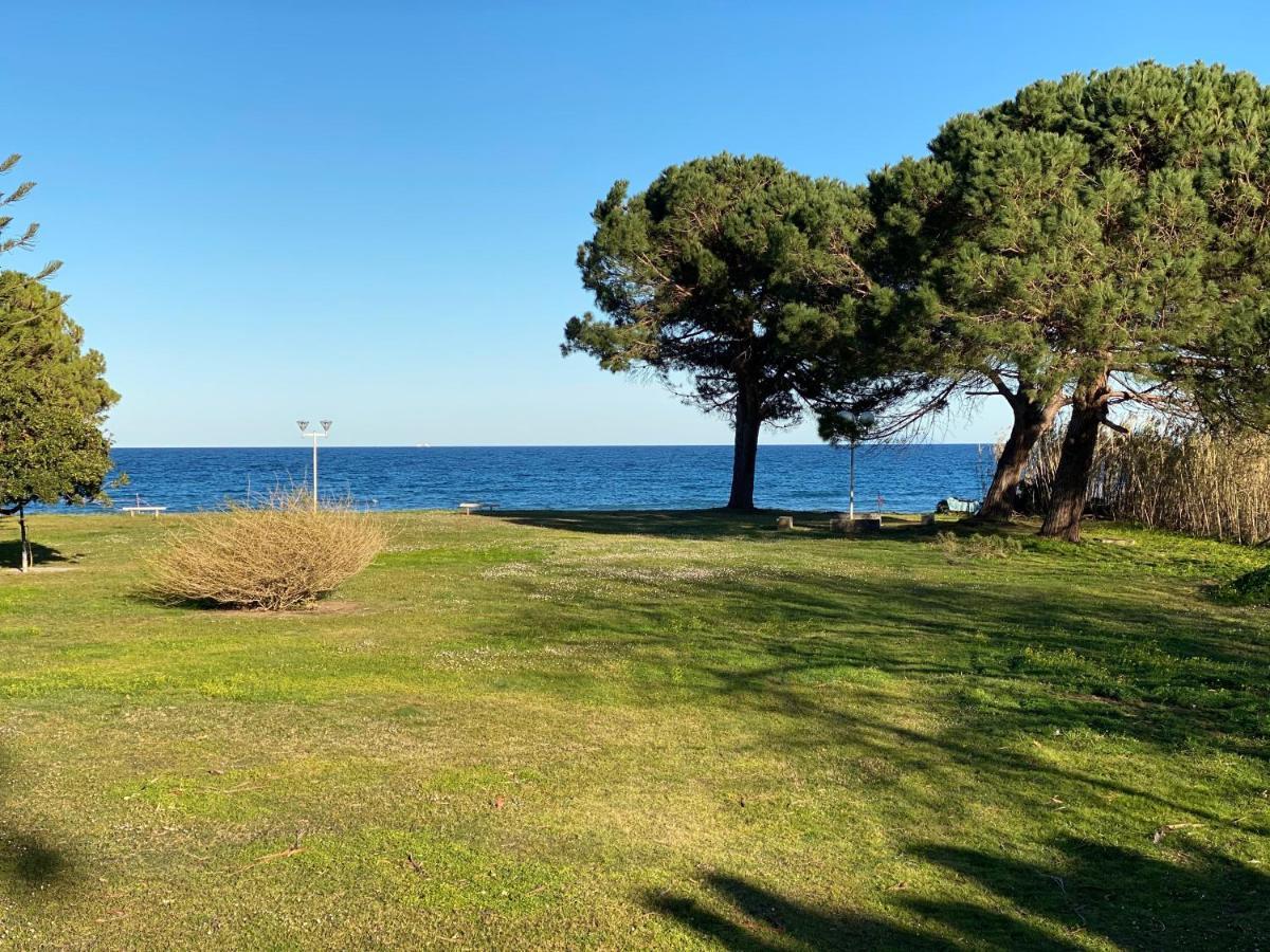Residence Santa Lucia, Studio Avec Piscine , Vue Mer Et Pied Dans L'Eau , Moriani-Plage Eksteriør bilde