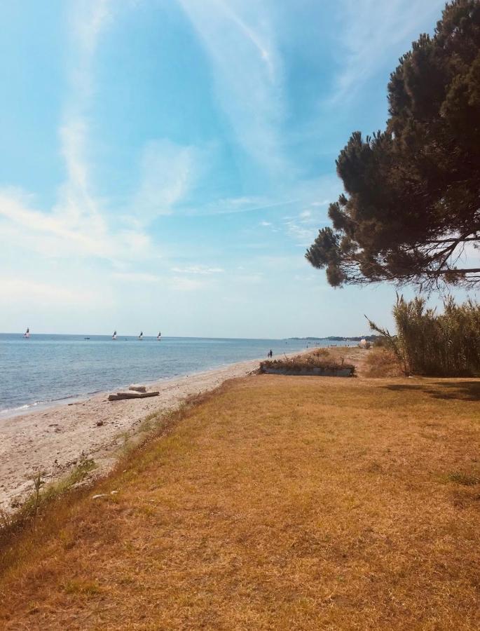 Residence Santa Lucia, Studio Avec Piscine , Vue Mer Et Pied Dans L'Eau , Moriani-Plage Eksteriør bilde